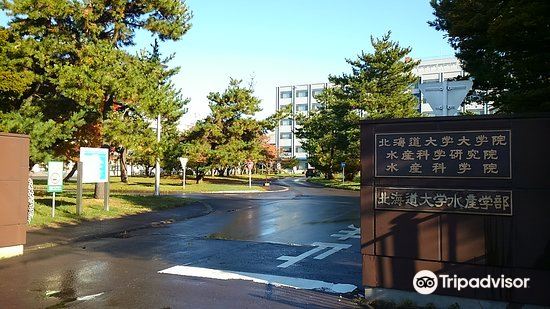 札幌北海道大学攻略 北海道大学门票价格多少钱 团购票价预定优惠 景点地址图片 携程攻略