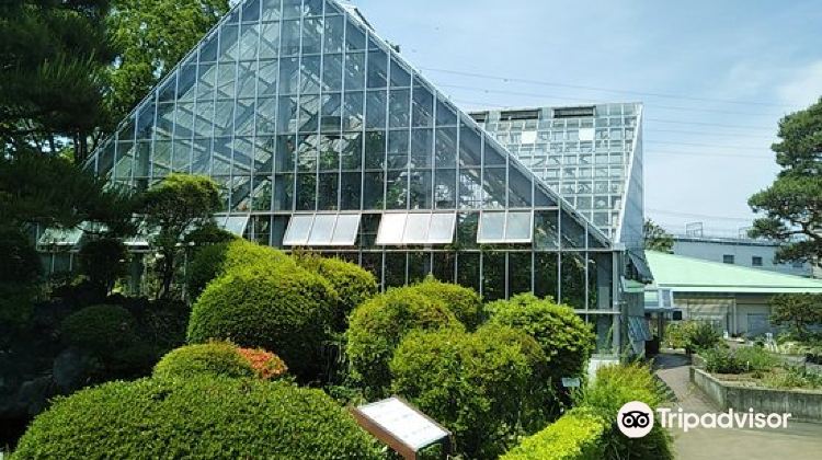 小平市東京都薬用植物園攻略 東京都薬用植物園门票价格多少钱 团购票价预定优惠 景点地址图片 携程攻略