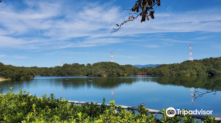 四日市市isaka Dam Cycle Park游玩攻略 Isaka Dam Cycle Park门票多少钱 价格表 团购票价预定优惠 景点地址在哪里 图片介绍 参观预约 旅游游览顺序攻略及注意事项 营业时间 携程攻略 四日市市isaka Dam Cycle Park游玩攻略 Isaka Dam Cycle Park门票多少钱 价格表 团购票价预定优惠 景点地址在哪里 图片介绍 参观预约 旅游游览顺序攻略及注意事项 营业时间 携程攻略