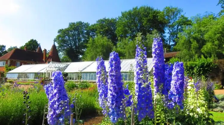 Hotels in Great Chart with Singleton