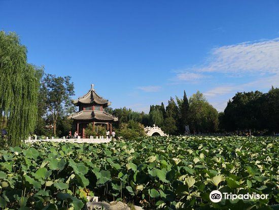 易县猛犸象谷景区图片图片