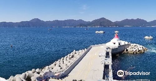 风之丘 Oedo Botania一日游 釜山出发巨济风之丘梦幻外岛异国风情 来自星星的你 拍摄地 1人起订 线路推荐 携程玩乐
