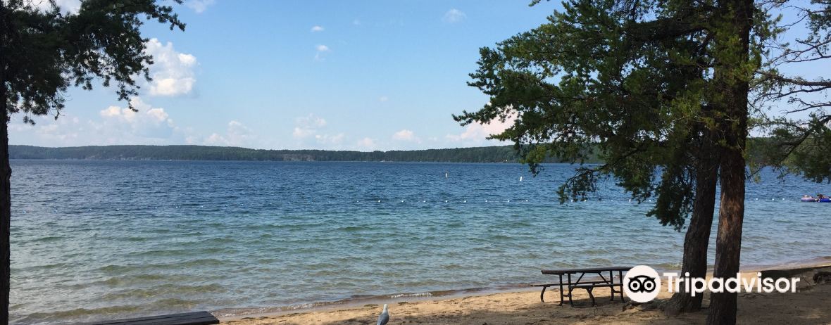 22年德莱登旅游攻略 10月德莱登自助游 自驾 出游 自由行 游玩攻略 携程攻略