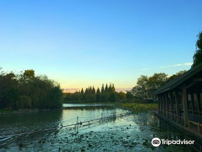 上海古美体育公园攻略-古美体育公园门票价格多少钱-团购票价预定优惠