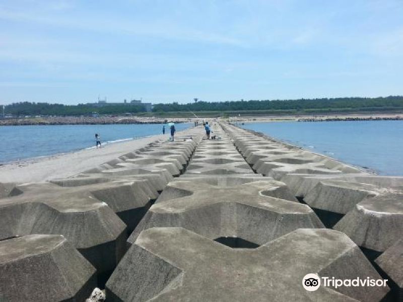 新泻西海岸公園攻略 西海岸公園门票价格多少钱 团购票价预定优惠 景点地址图片 携程攻略