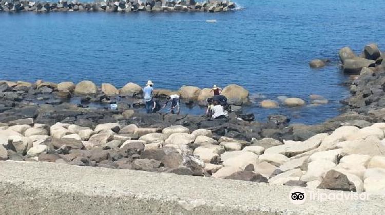 新泻西海岸公园游玩攻略 西海岸公园 门票多少钱 价格表 团购票价预定优惠 景点地址在哪里 图片介绍 参观预约 旅游游览顺序攻略及注意事项 营业时间 携程攻略