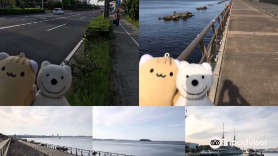 Sarushima Island Photos Photos Of Yokosuka Attractions Trip Moments