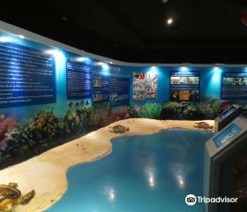 Thai Island and Sea Natural History Museum