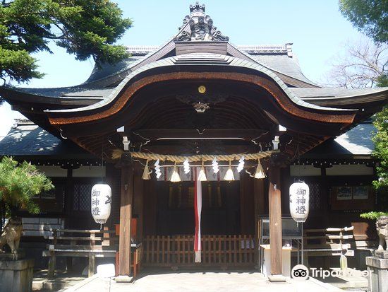 京都熊野神社攻略 京都熊野神社门票 攻略 地址 图片 门票价格 携程攻略
