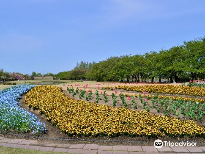 富山富山県中央植物園攻略 富山県中央植物園门票价格多少钱 团购票价预定优惠 景点地址图片 携程攻略