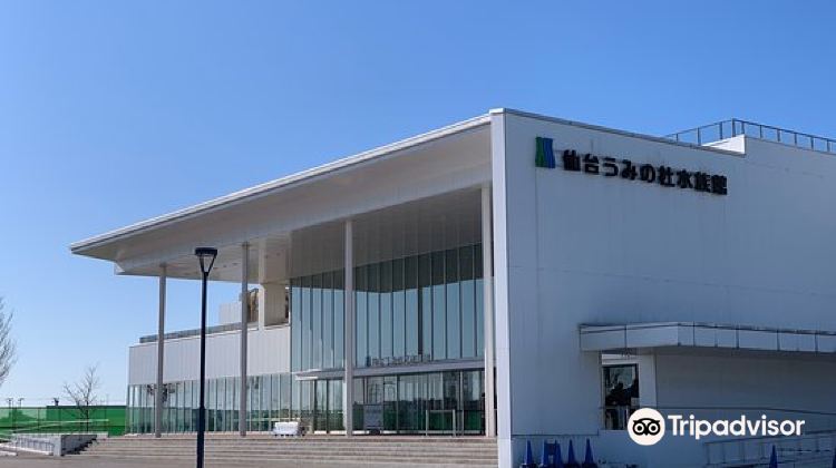 仙台仙台海洋森林水族馆攻略 仙台海洋森林水族馆门票价格多少钱 团购票价预定优惠 景点地址图片 携程攻略 仙台仙台海洋森林水族馆攻略 仙台海洋森林水族馆门票价格多少钱 团购票价预定优惠 景点地址图片 携程攻略