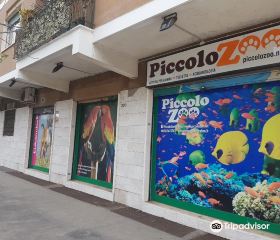 Piccolo Zoo