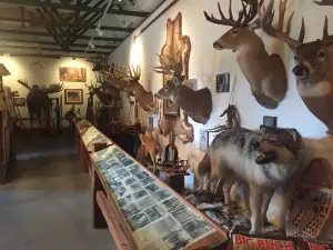 Michigan Whitetail Hall of Fame Museum