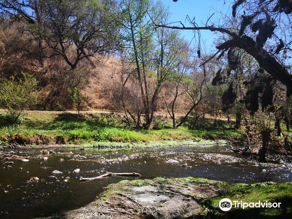 阿瓜斯卡连特斯Parque Ecologico El Sabinal游玩攻略-Parque Ecologico El  Sabinal门票多少钱/价格表-团购票价预定优惠-景点地址在哪里/图片介绍/参观预约/旅游游览顺序攻略及注意事项/营业时间-【携程攻略】