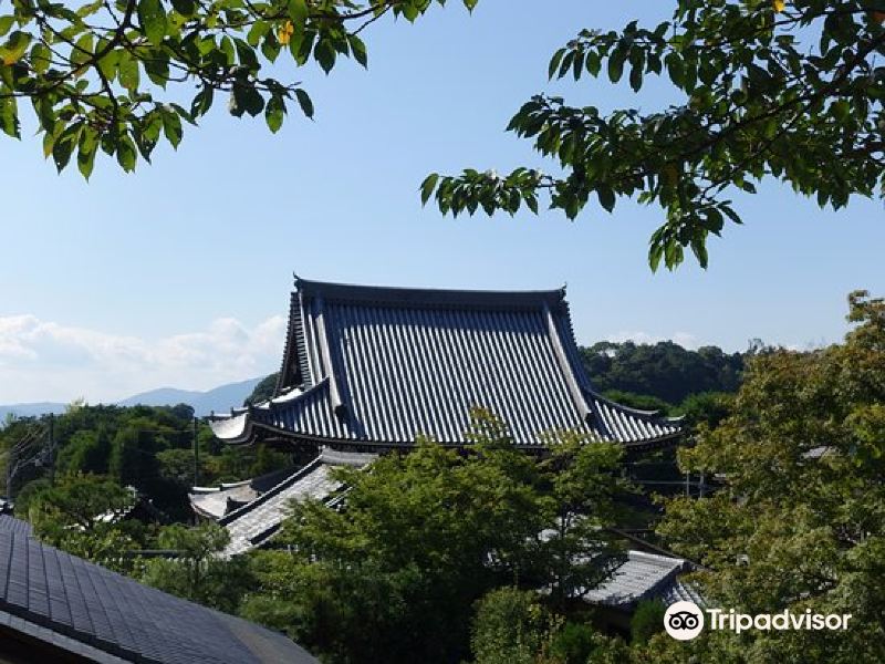 京都光云寺攻略-光云寺门票价格多少钱-团购票价预定优惠-景点地址