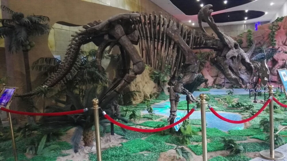 诸城恐龙博物馆旅游景点攻略图