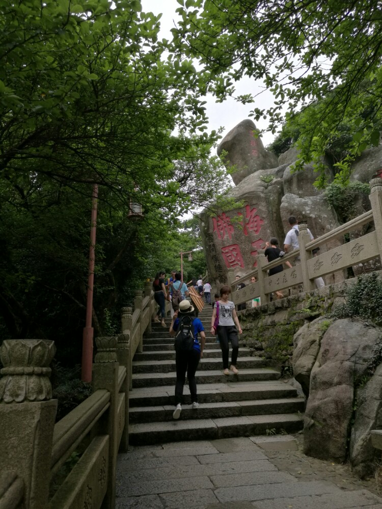 2019慧济寺