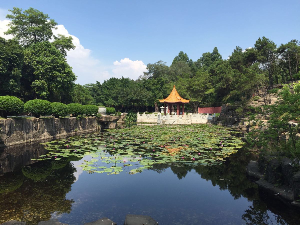 2019三水森林公園_旅遊攻略_門票_地址_遊記點評,佛山旅遊景點推薦