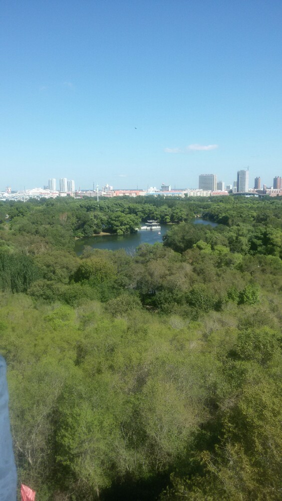 齊齊哈爾龍沙公園好玩嗎,齊齊哈爾龍沙公園景點怎麼樣_點評_評價