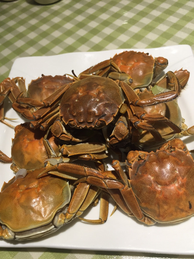 醉美盘锦红海滩、辽沈当年鏖战急