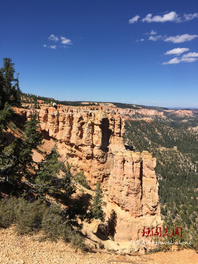 34天29城5000美金英语文盲美国自驾独行记(布