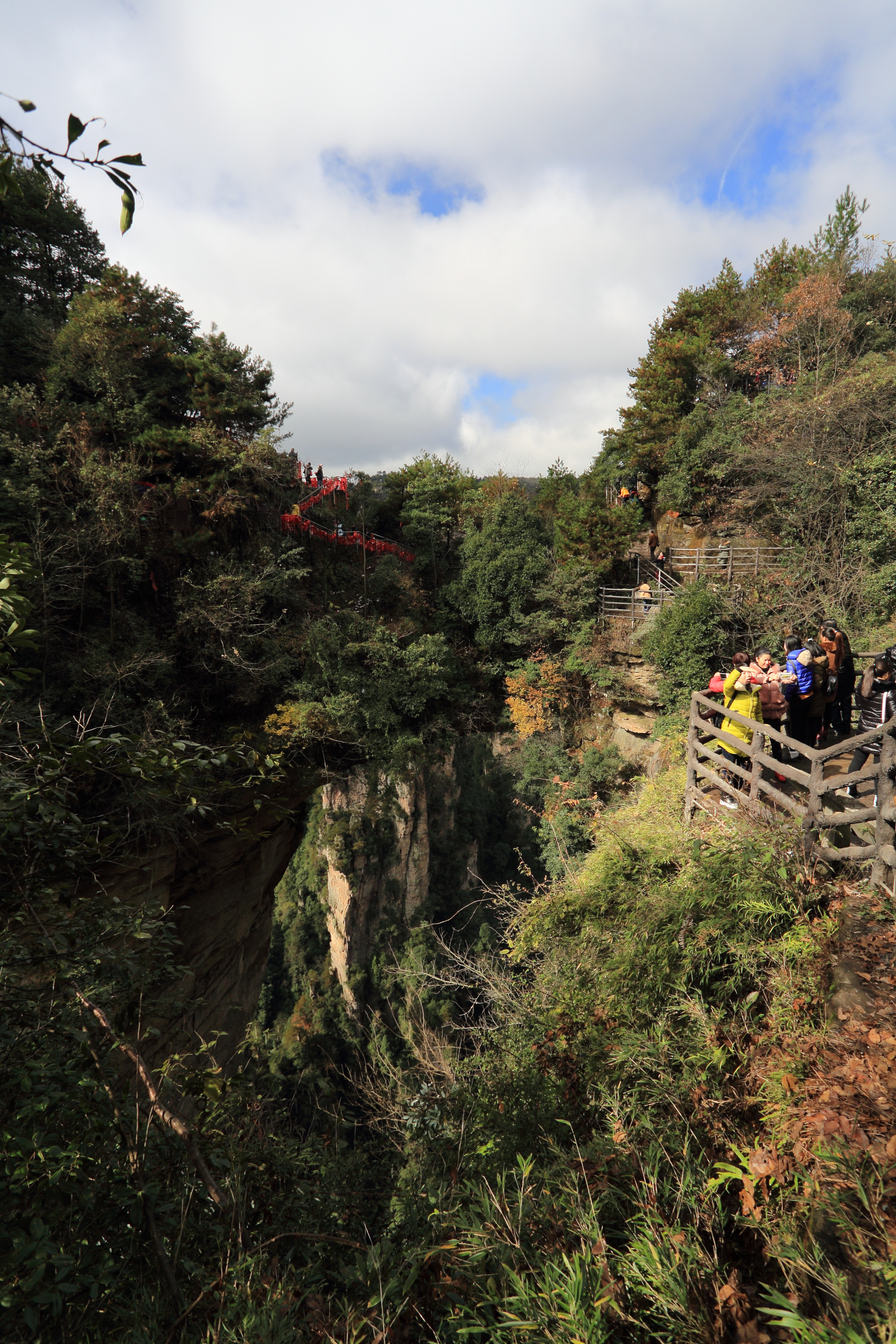 2019百龍天梯_旅遊攻略_門票_地址_遊記點評,武陵源旅遊景點推薦 - 去