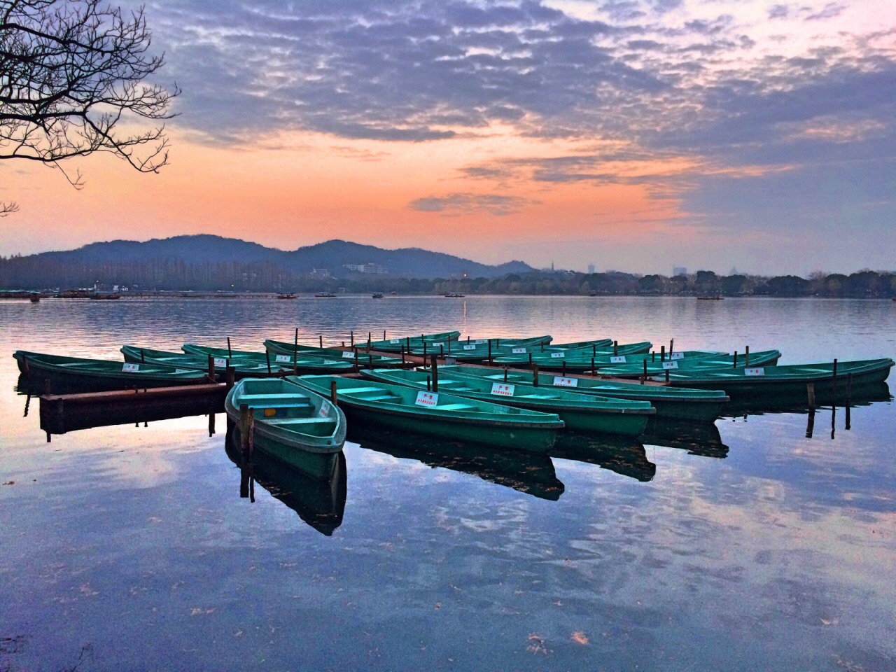 【携程攻略】杭州杨公堤景点,这条线汇聚了西湖最多的美景,曲院风荷