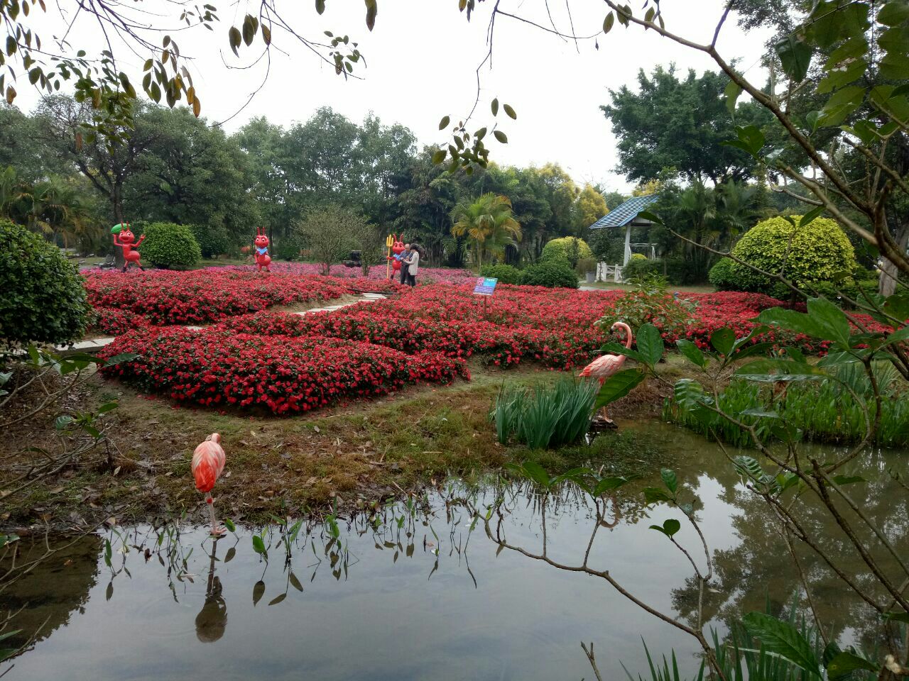 2019花都香草世界_旅遊攻略_門票_地址_遊記點評,花都旅遊景點推薦