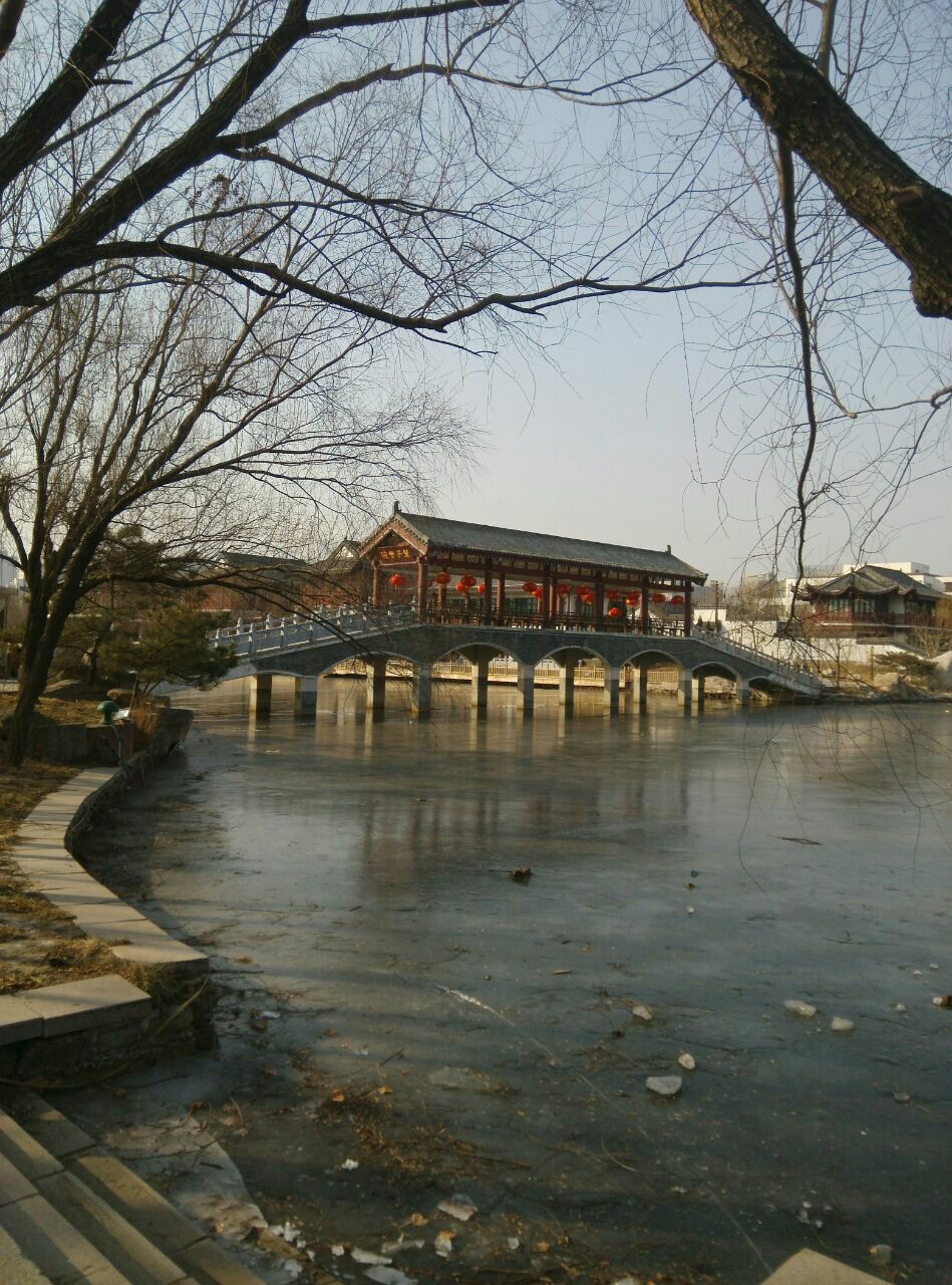 【攜程攻略】德州董子園景區好玩嗎,德州董子園景區景點怎麼樣_點評