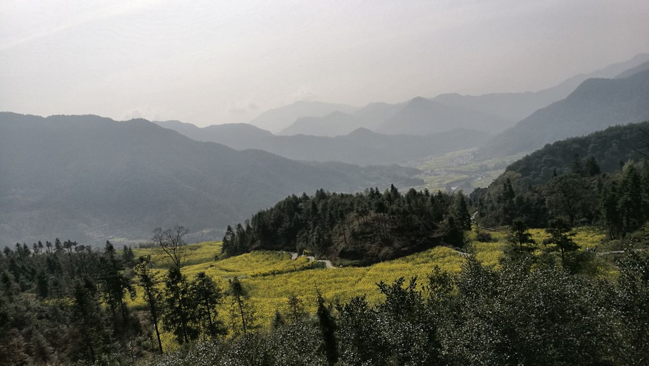 婺源江嶺景區好玩嗎,婺源江嶺景區景點怎麼樣_點評_評價【攜程攻略】