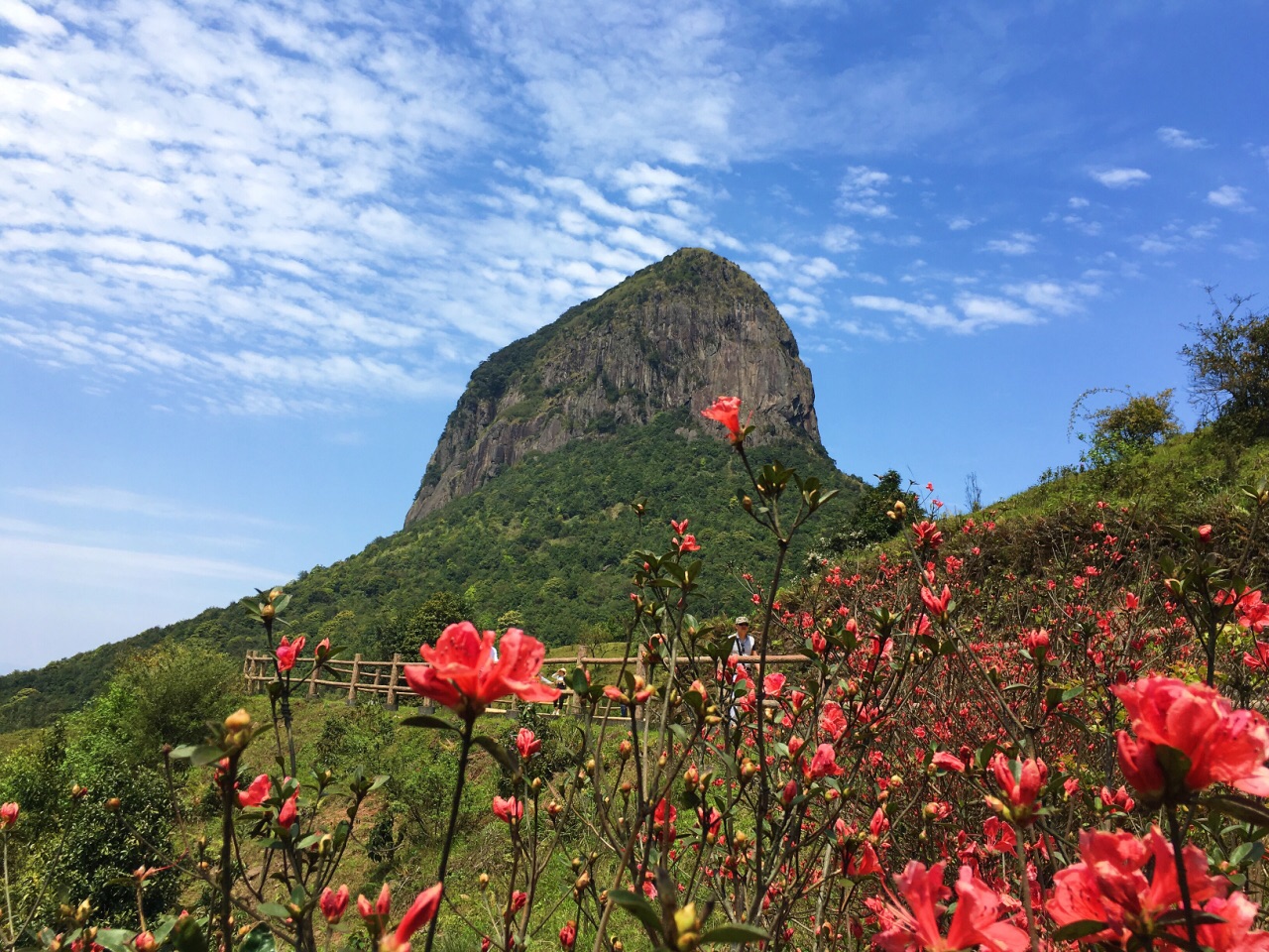 2021天龙顶国家山地公园-旅游攻略-门票-地址-问答-游记点评，岑溪旅游旅游景点推荐-去哪儿攻略