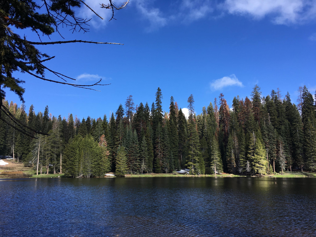 美景不分國界,2017再闖美西之:美國紅杉樹國家公園(sequoia national