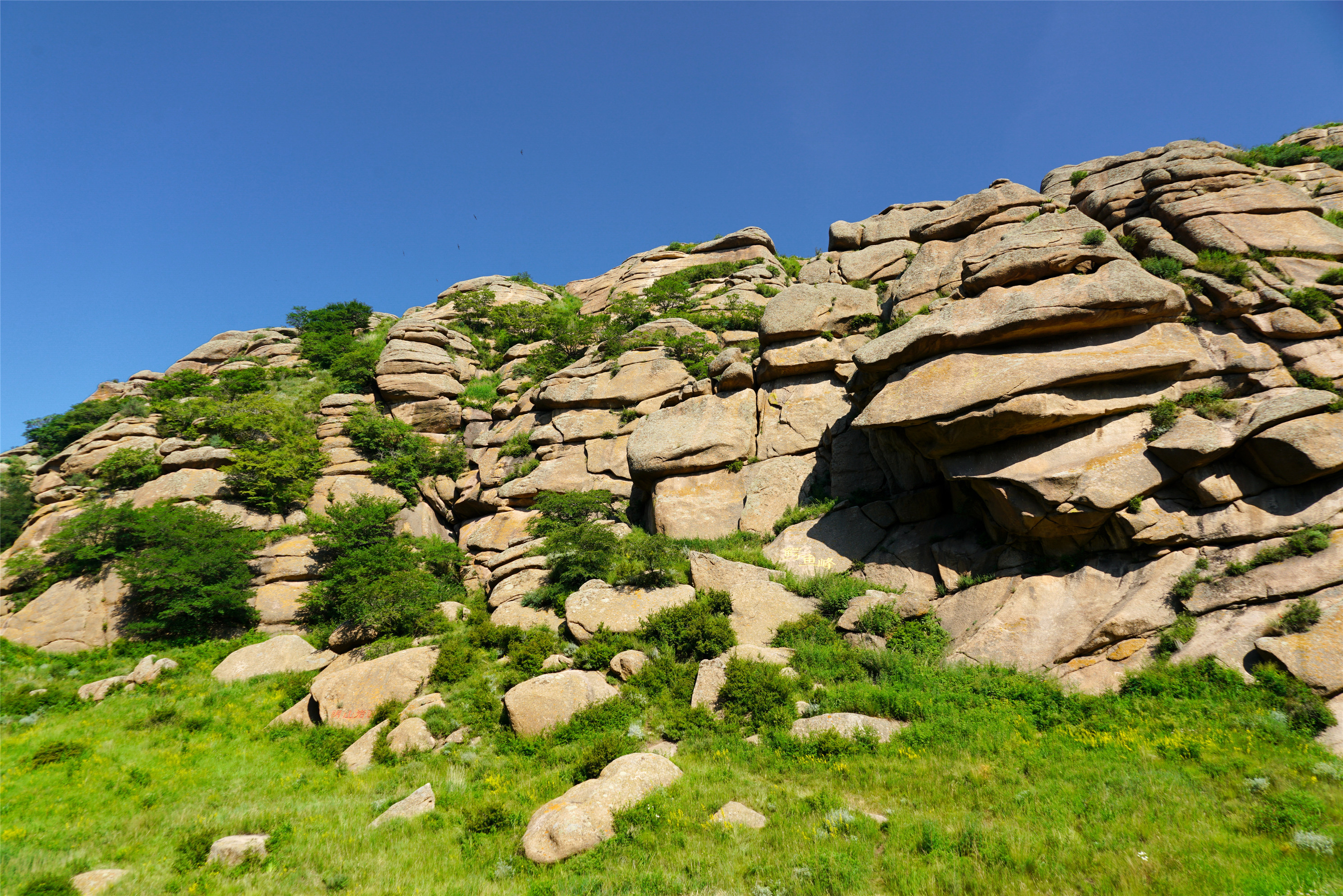 辉腾锡勒黄花沟草原旅游区