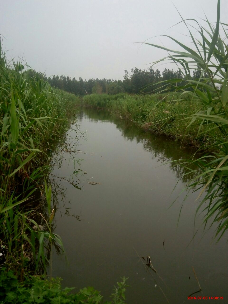 桓臺馬踏湖攻略,桓臺馬踏湖門票/遊玩攻略/地址/圖片/門票價格【攜程