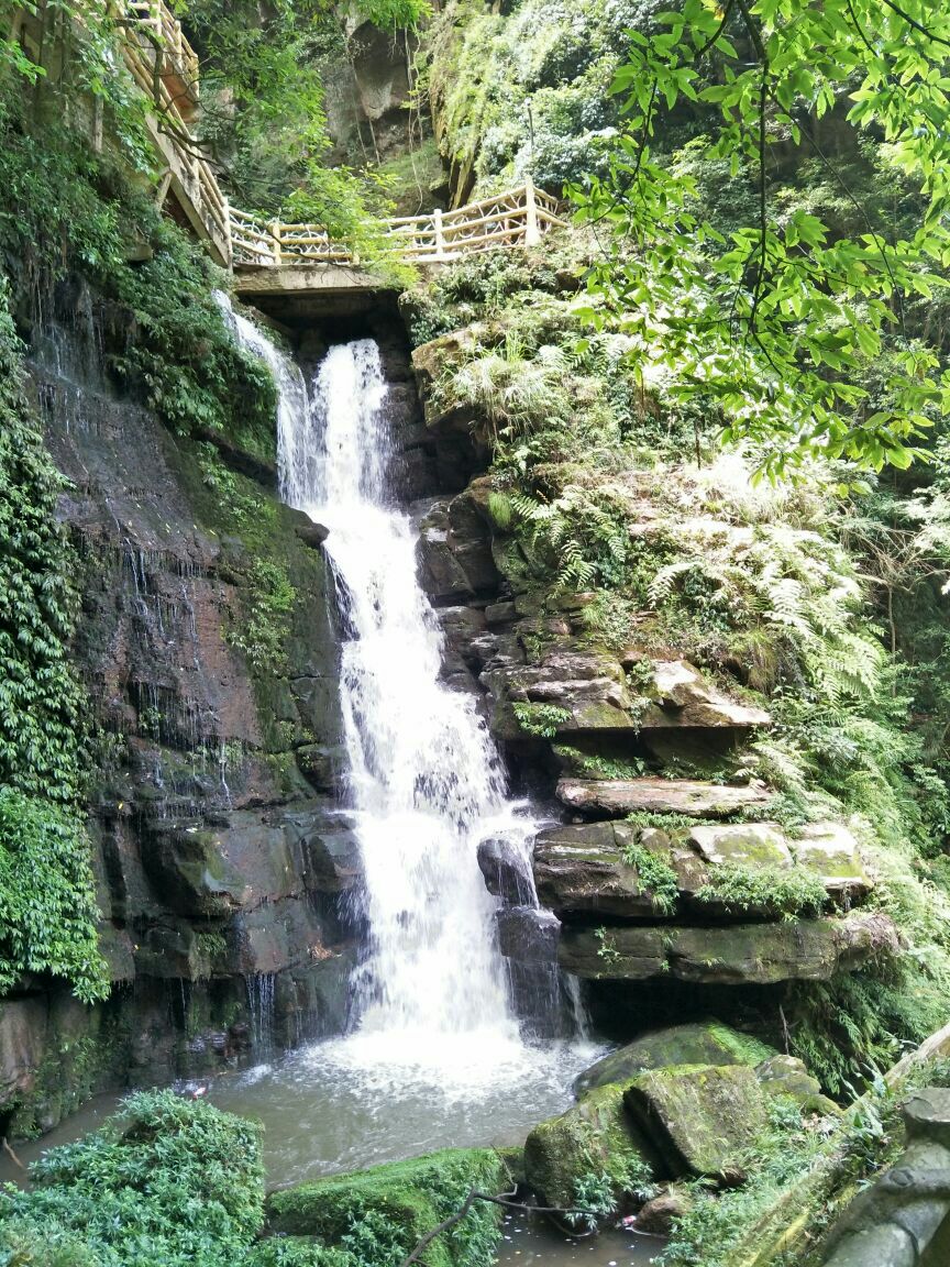 碧峰峽野生動物園旅遊景點攻略圖