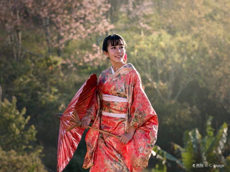 太宰府市花水木和服体验攻略 花水木和服体验门票价格多少钱 团购票价