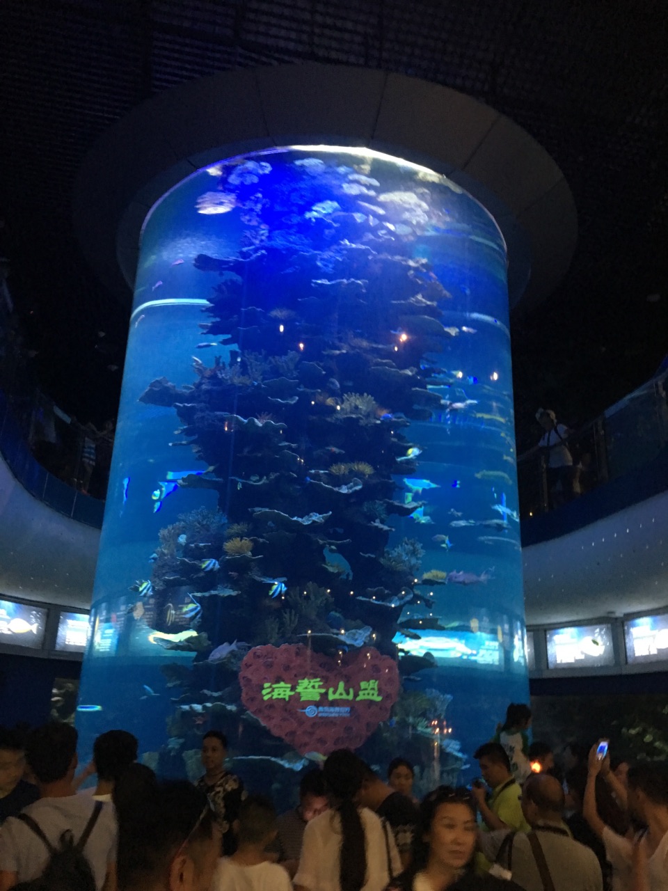 青岛青岛海底世界景点,水母宫最漂亮,其他的都和大部分海洋馆差侧多