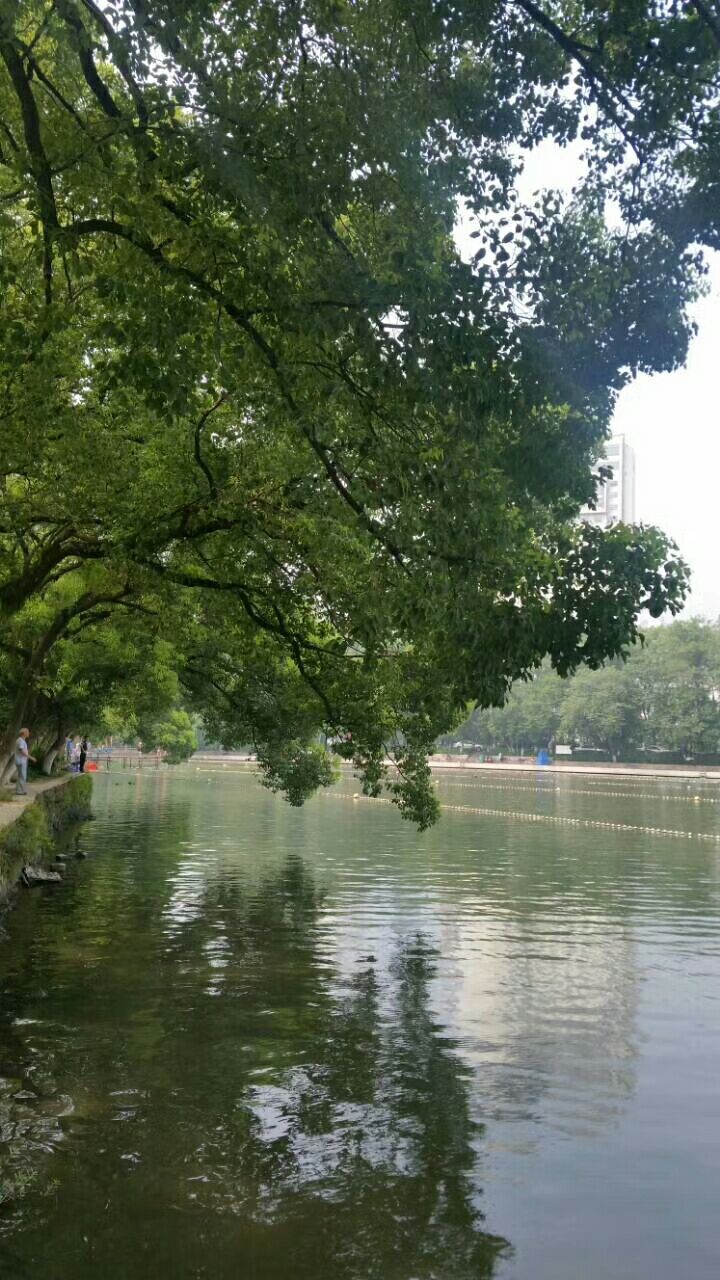 溫州九山公園好玩嗎,溫州九山公園景點怎麼樣_點評_評價【攜程攻略】