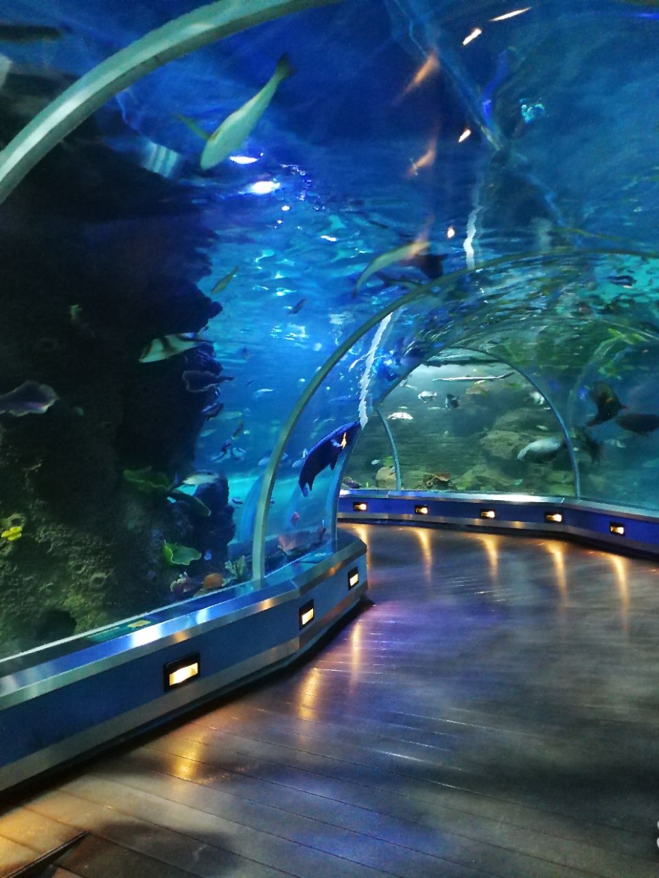 石家庄海洋公园