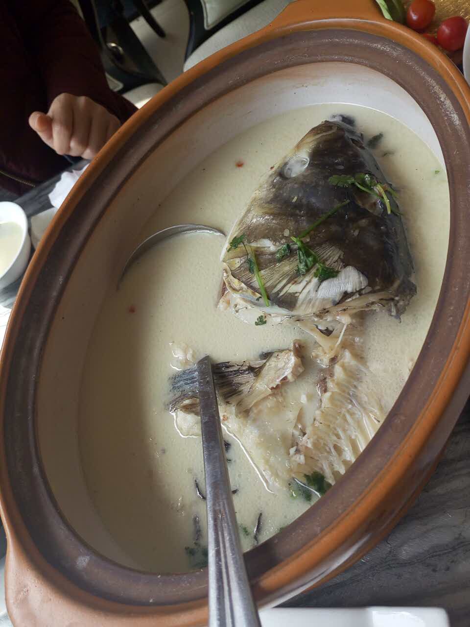 胖鱼头(大光路店)