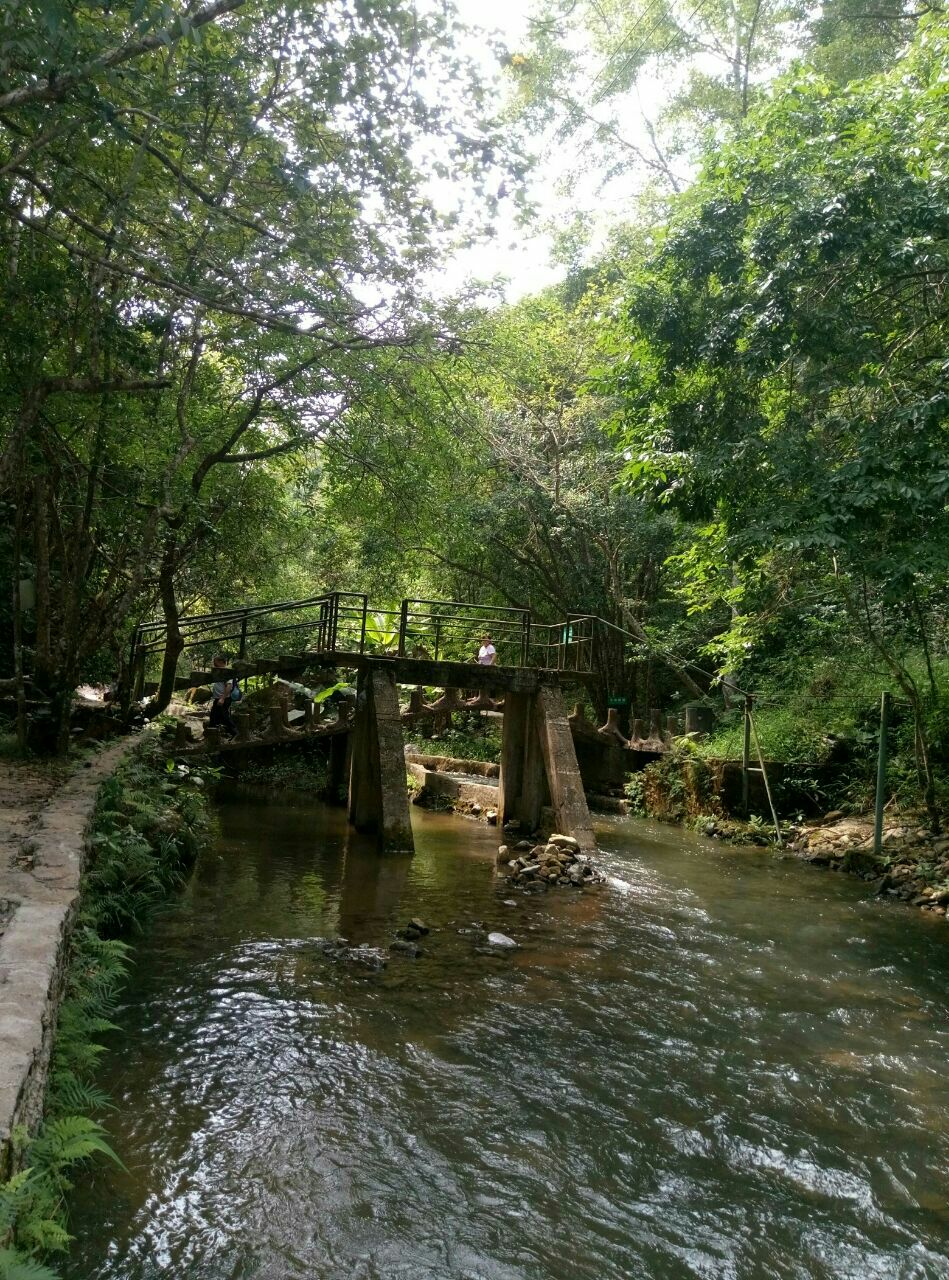 新豐江國家森林公園桂山風景區