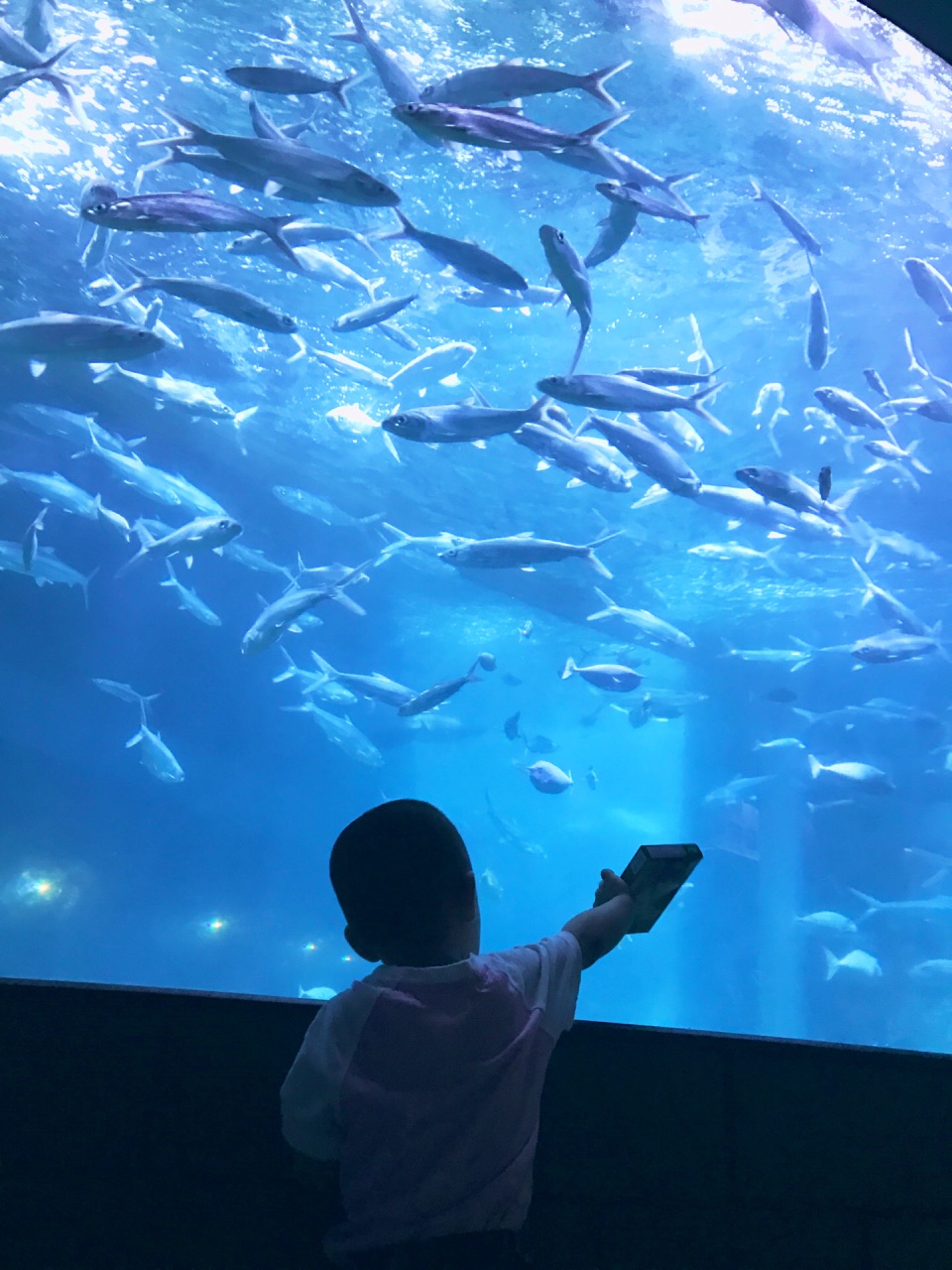 小梅沙海洋世界