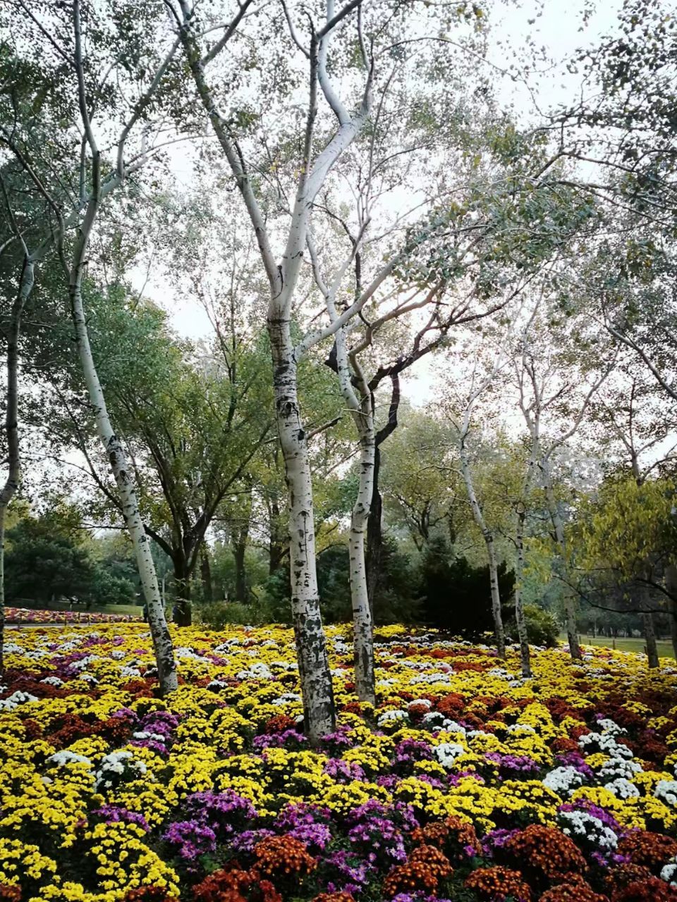 北京植物園旅遊景點攻略圖