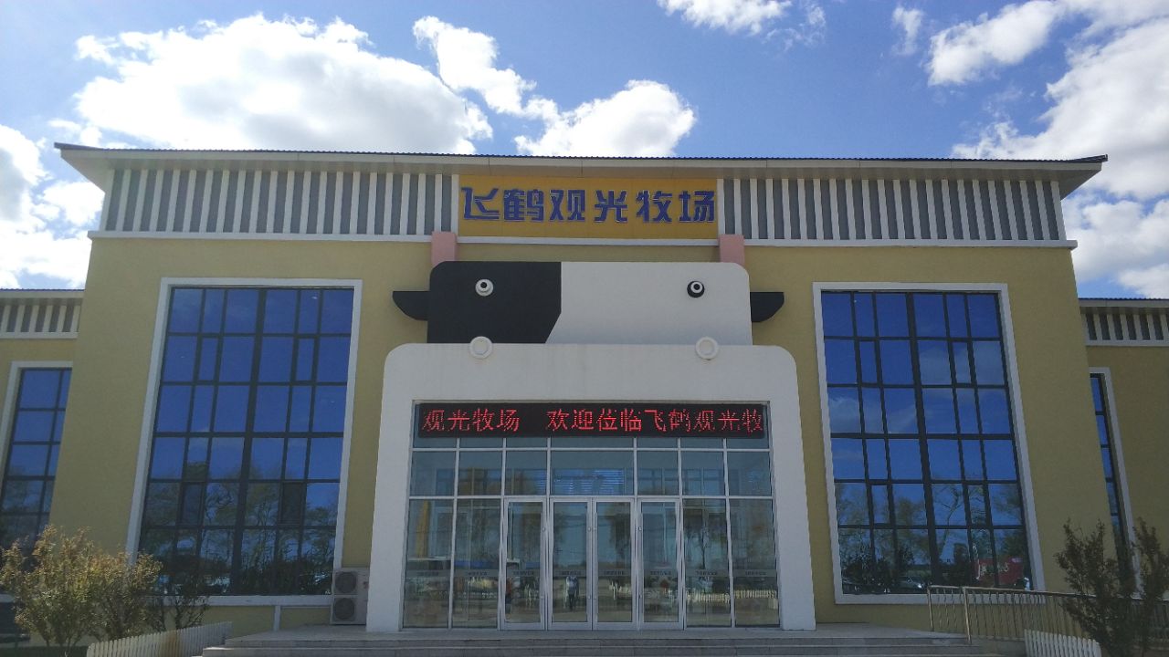 新建成的飞鹤牧场,位于市区去往扎龙自然保护区的路上,无论是来去,都