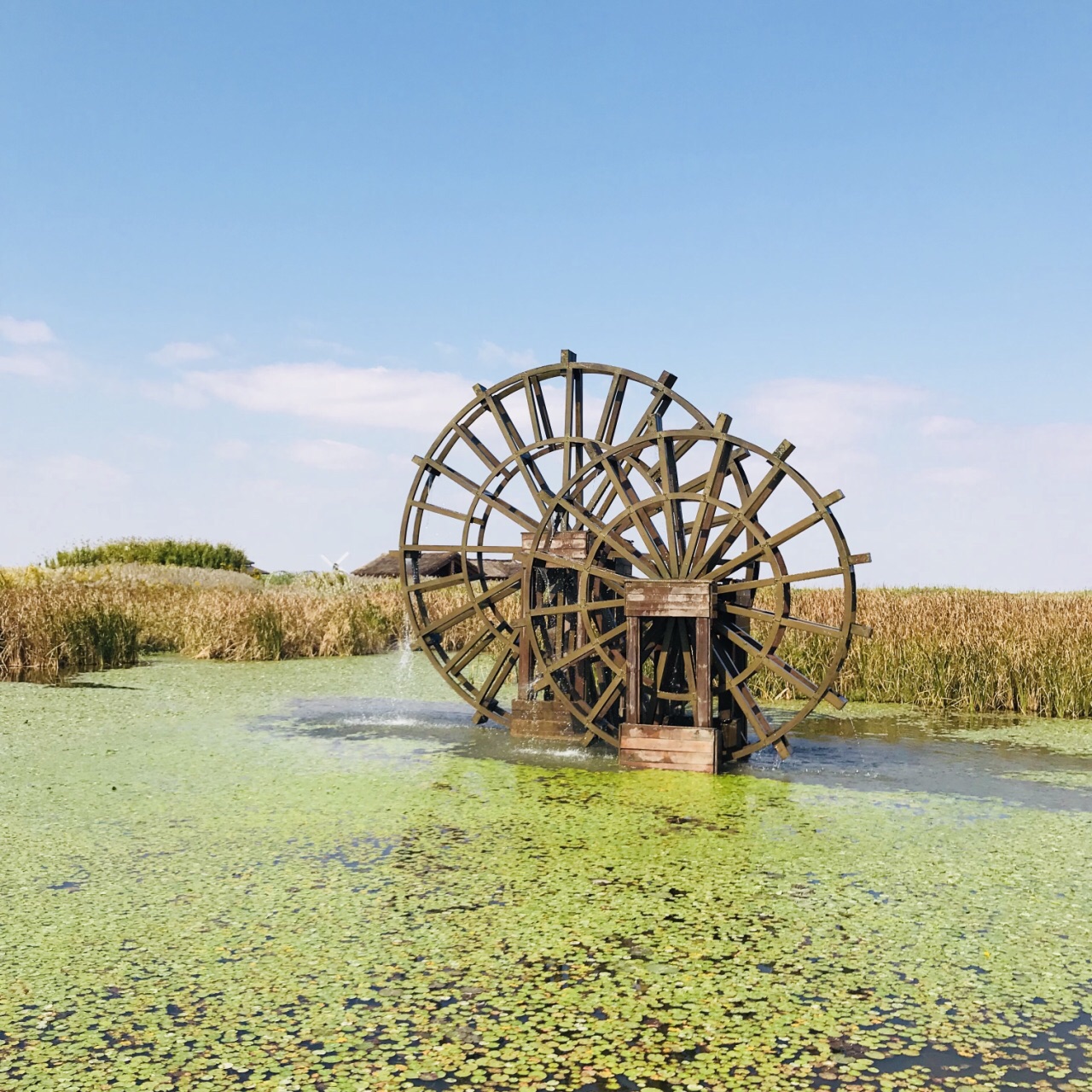 2023杭州湾国家湿地公园游玩攻略,门票里包含了车票和船票 走走.