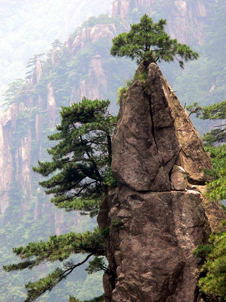 梦笔生花