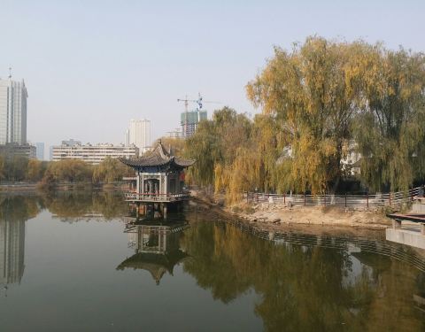 10010m000000dxuncA294_C_480_375.jpg