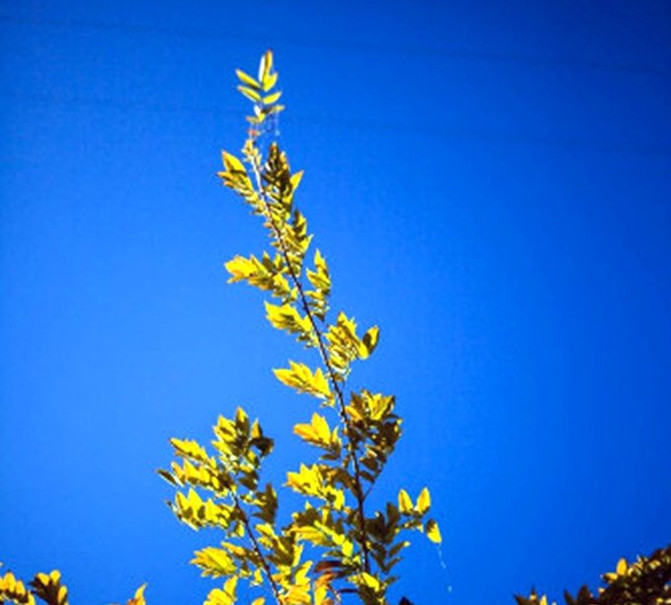 【一生只想跟你走#云南篇】 附2017春季丽江