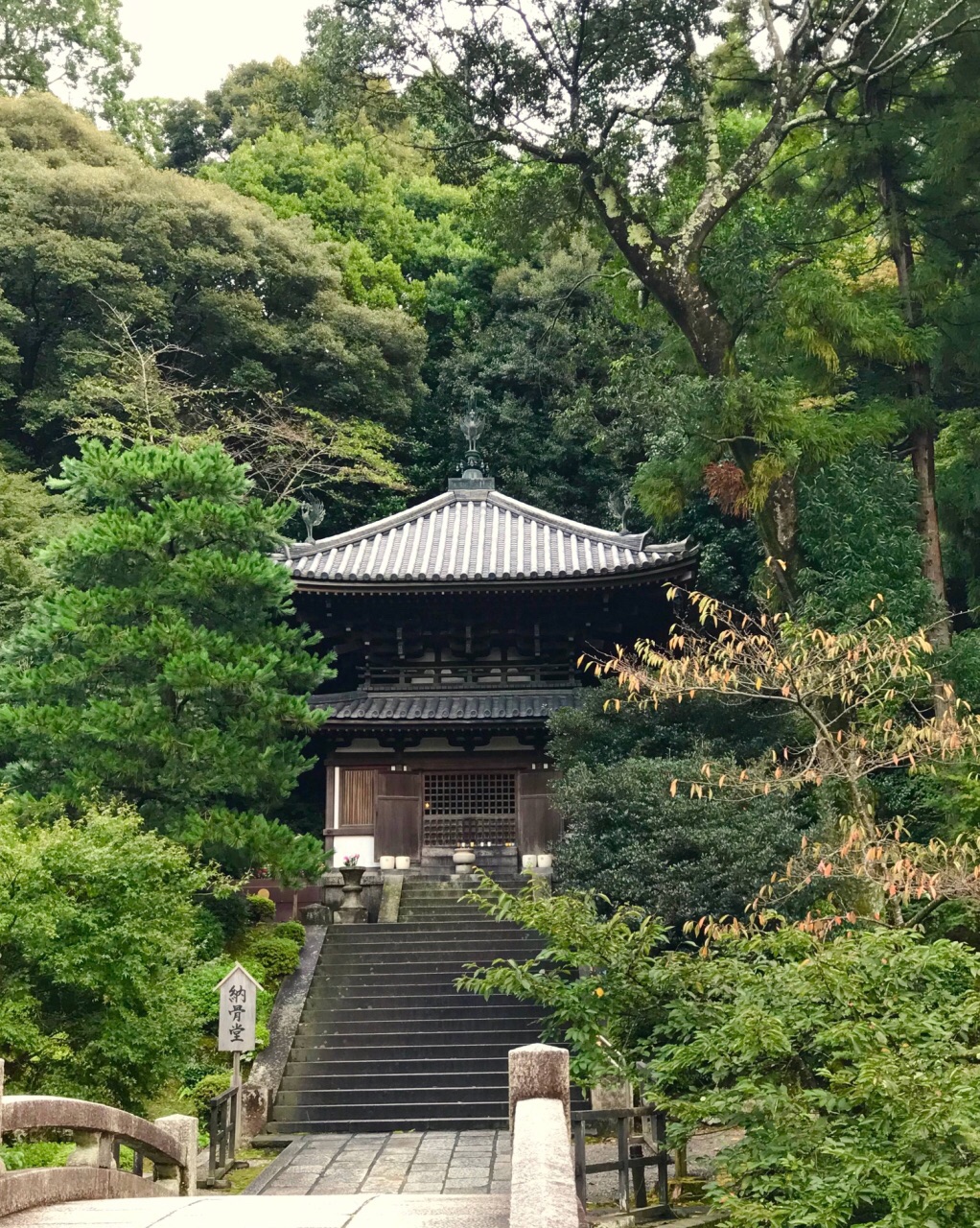 知恩院世界三大古鐘之一日本真是楓葉國家遍地可見楓葉鴨川之前一直想