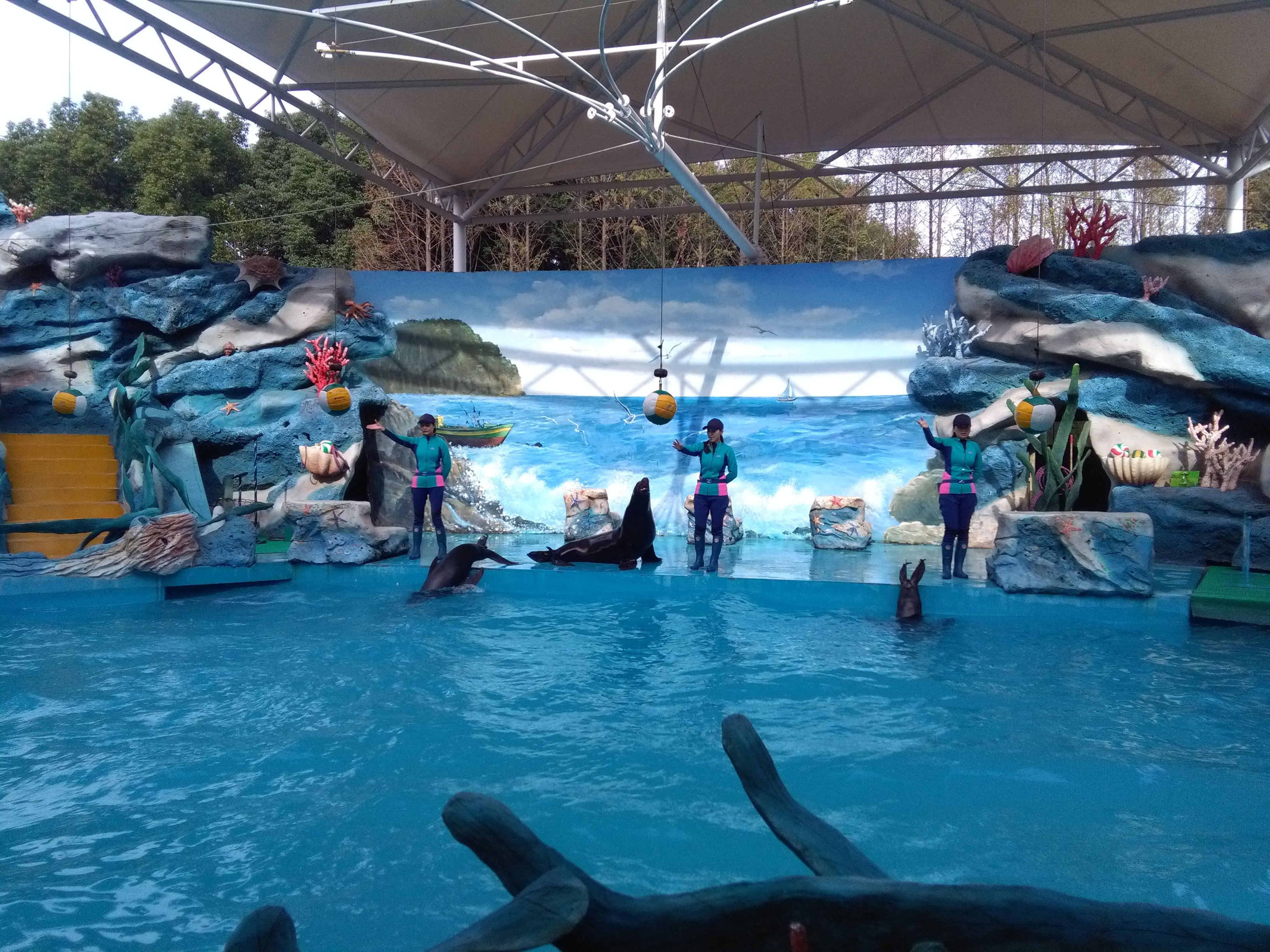 帶著孩子去旅行-上海野生動物園